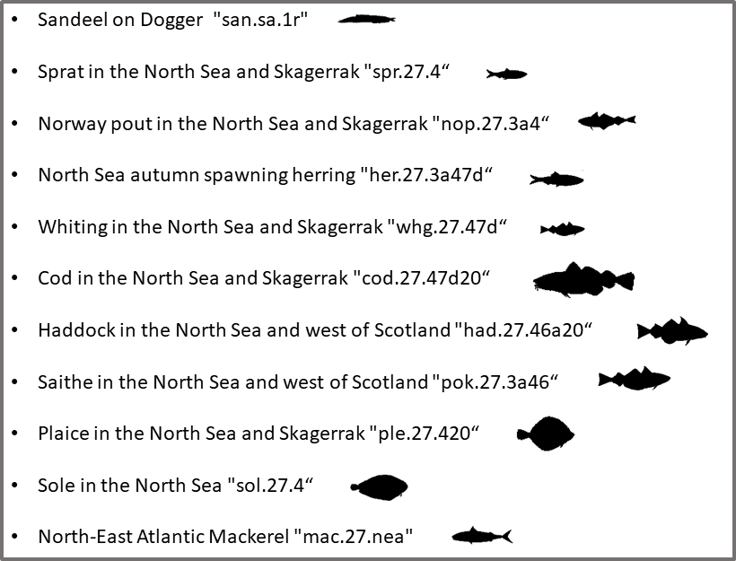 North Sea stock descriptions